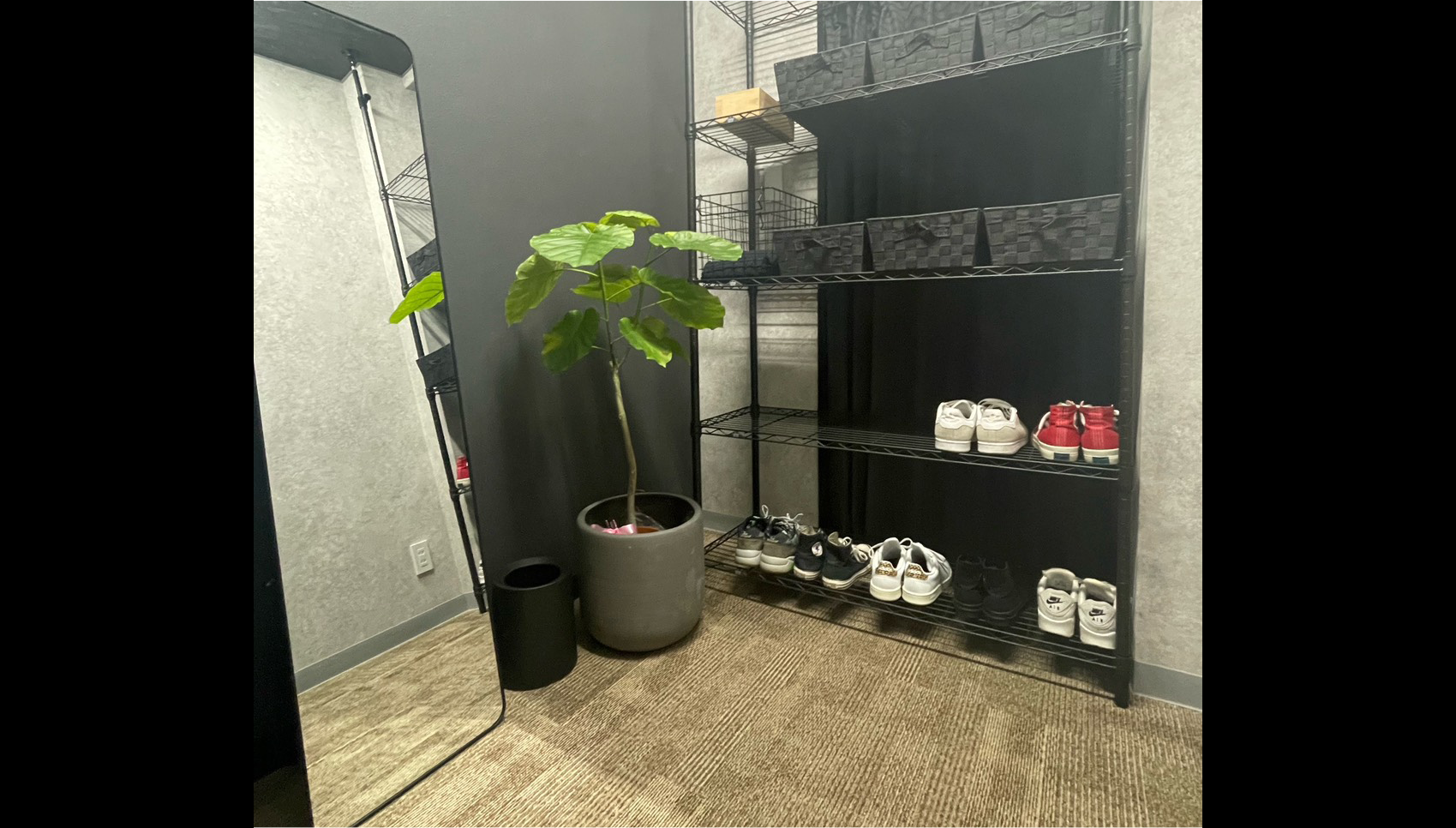 整体とトレーニング