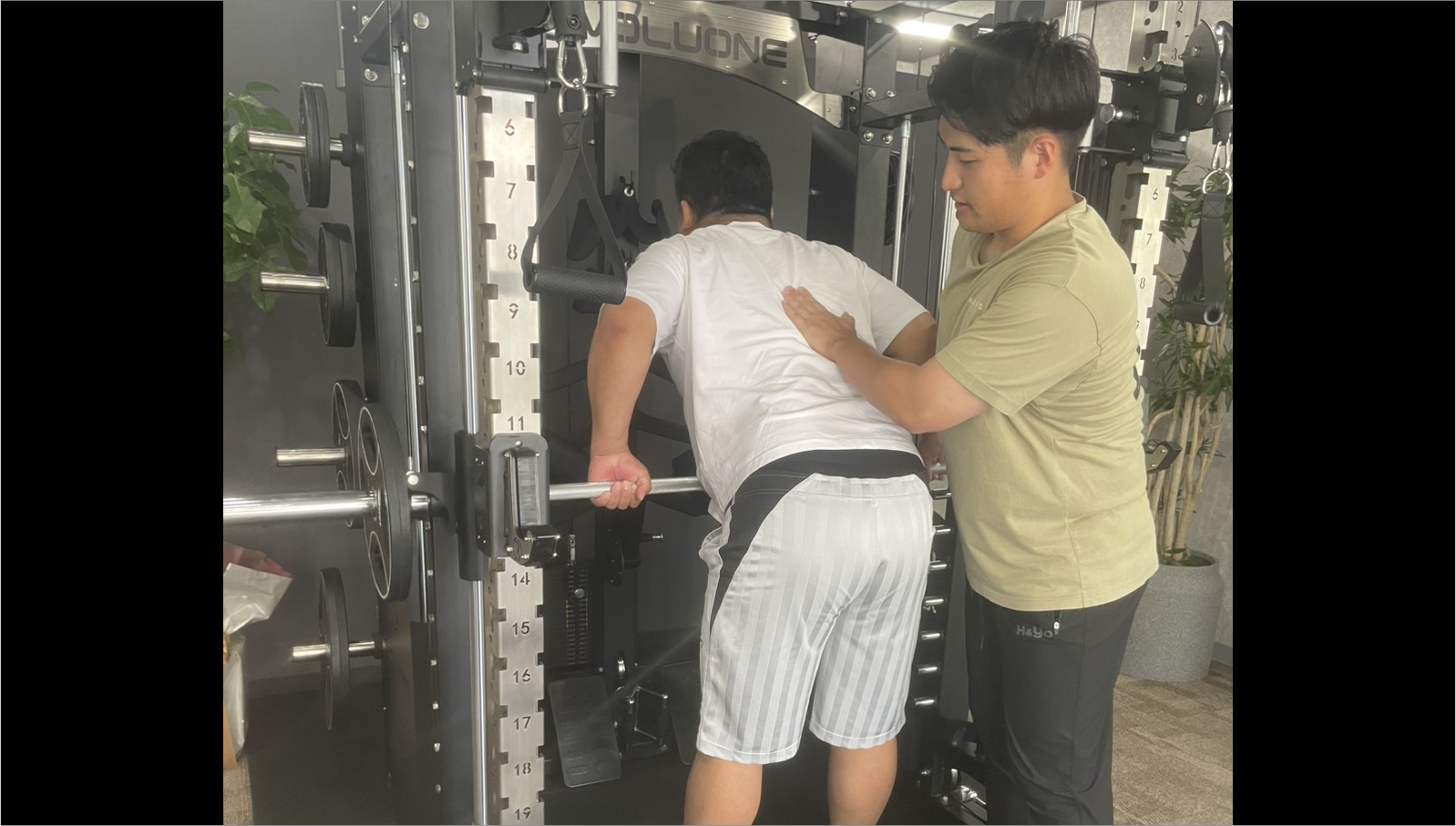 整体とトレーニング